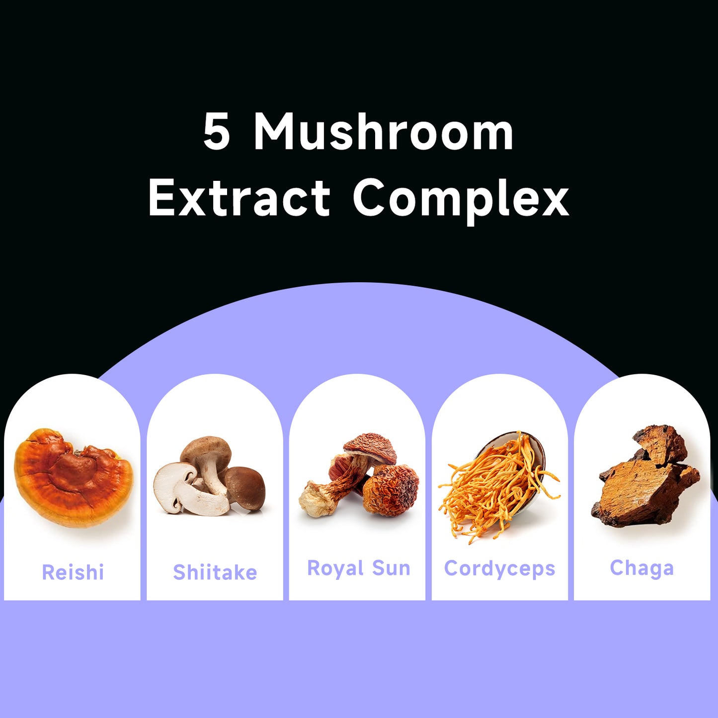 Chaism-mushroom-gummies-02