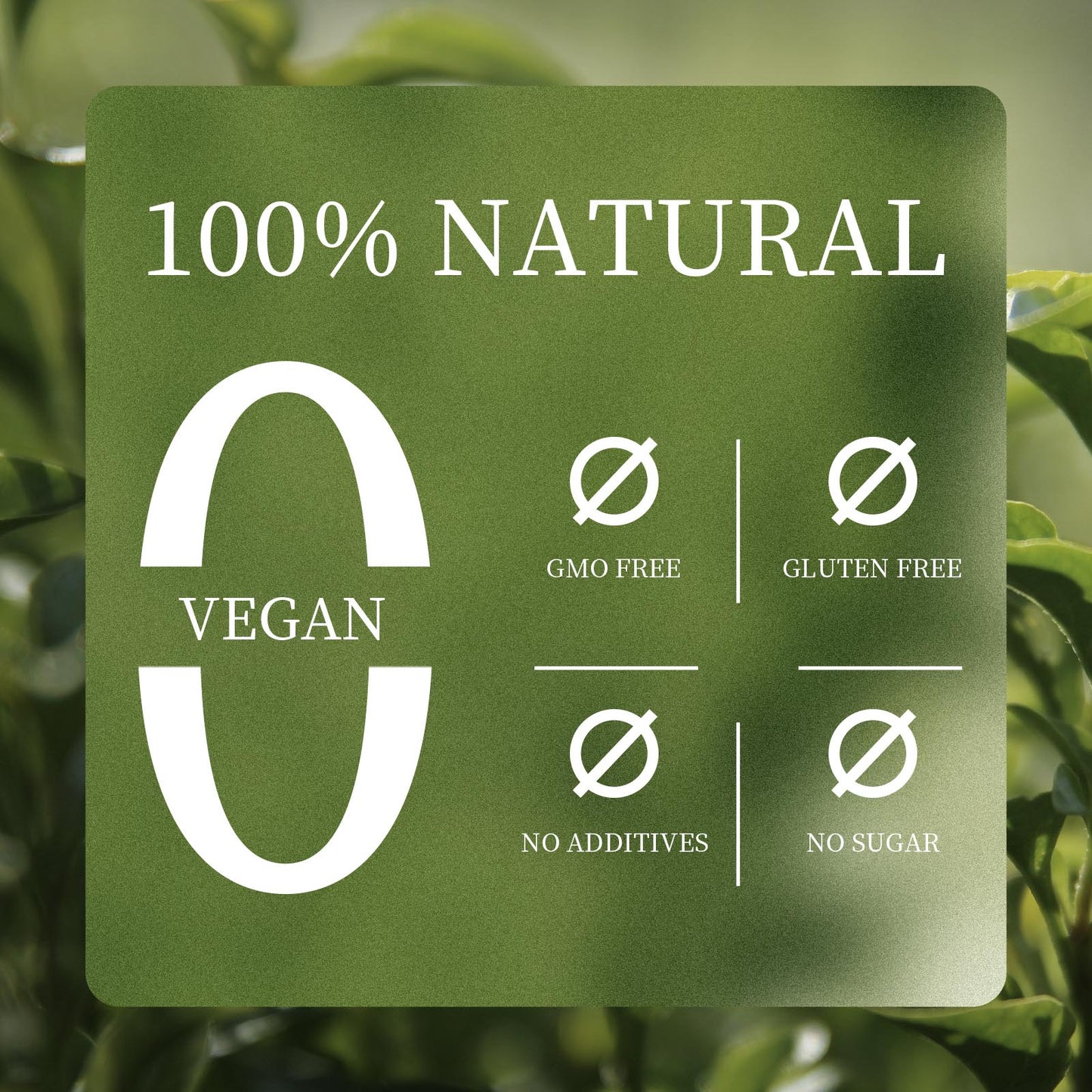 Chaism Organic Green Tea Matcha Powder