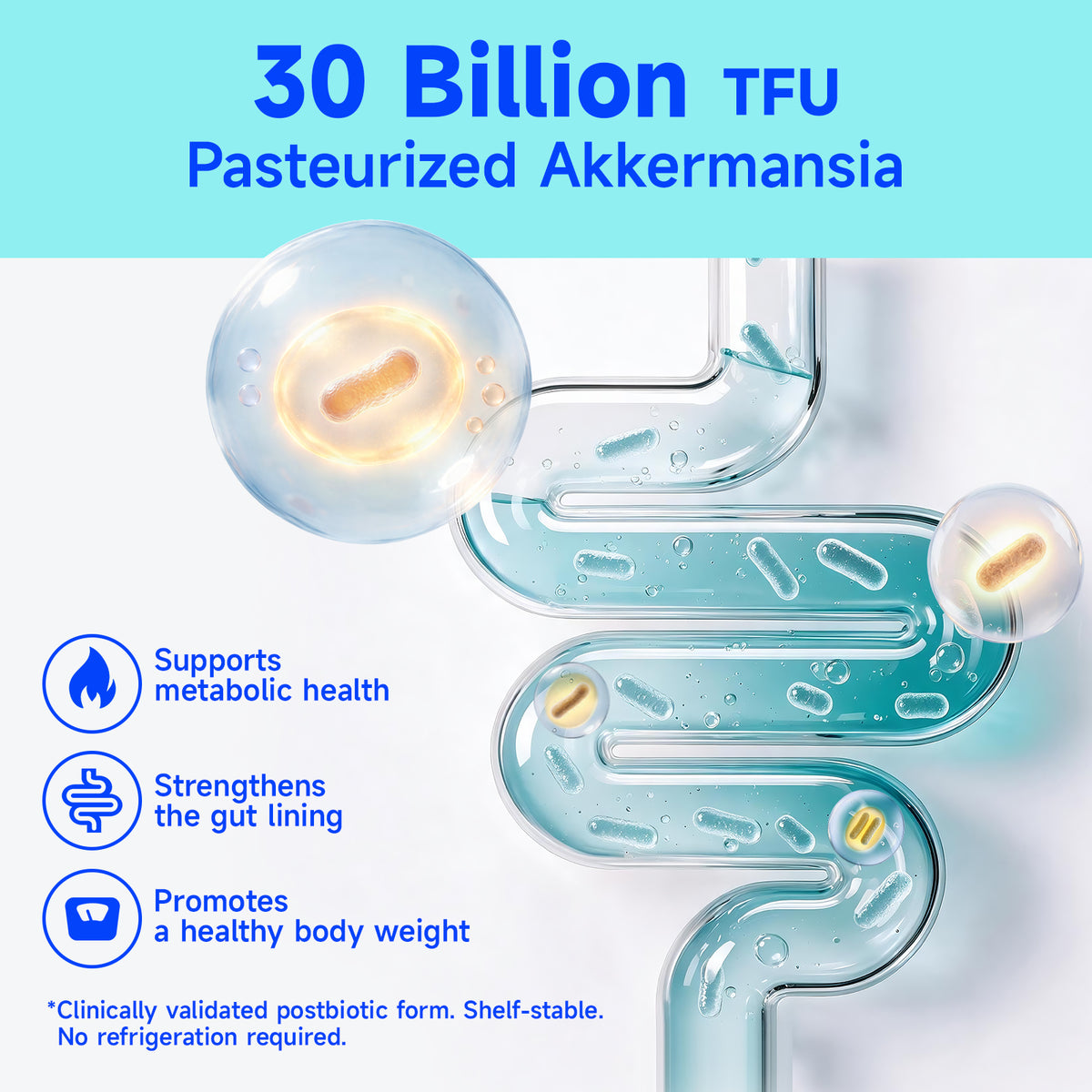 ZENOID Pasteurized Akkermansia Muciniphila w/Prebiotic & Probiotics Blends