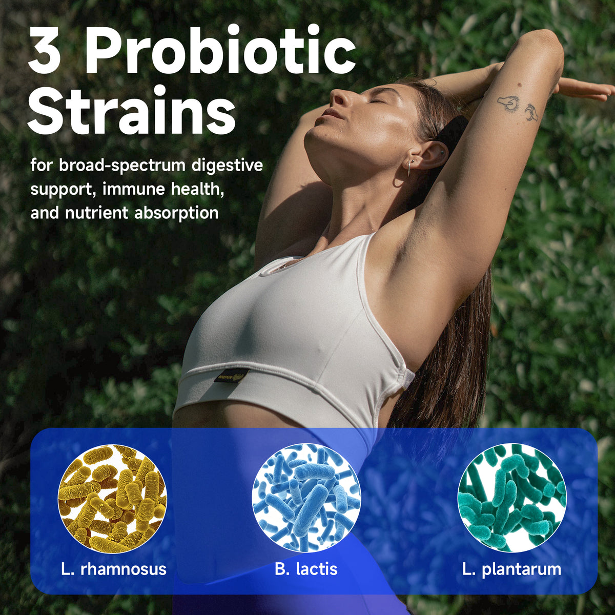 ZENOID Pasteurized Akkermansia Muciniphila w/Prebiotic & Probiotics Blends