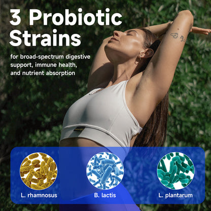 ZENOID Pasteurized Akkermansia Muciniphila w/Prebiotic & Probiotics Blends