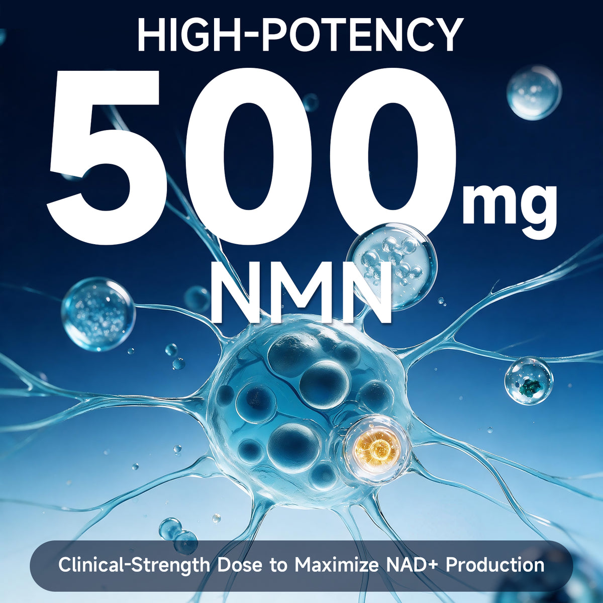ZENOID NMN Capsules 500mg Supplement with Resveratrol TMG PQQ