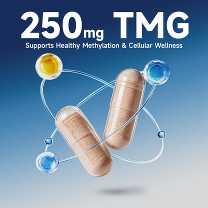 ZENOID NMN Capsules 500mg Supplement with Resveratrol TMG PQQ