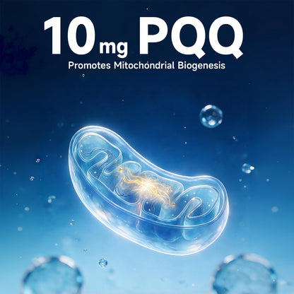 ZENOID NMN Capsules 500mg Supplement with Resveratrol TMG PQQ