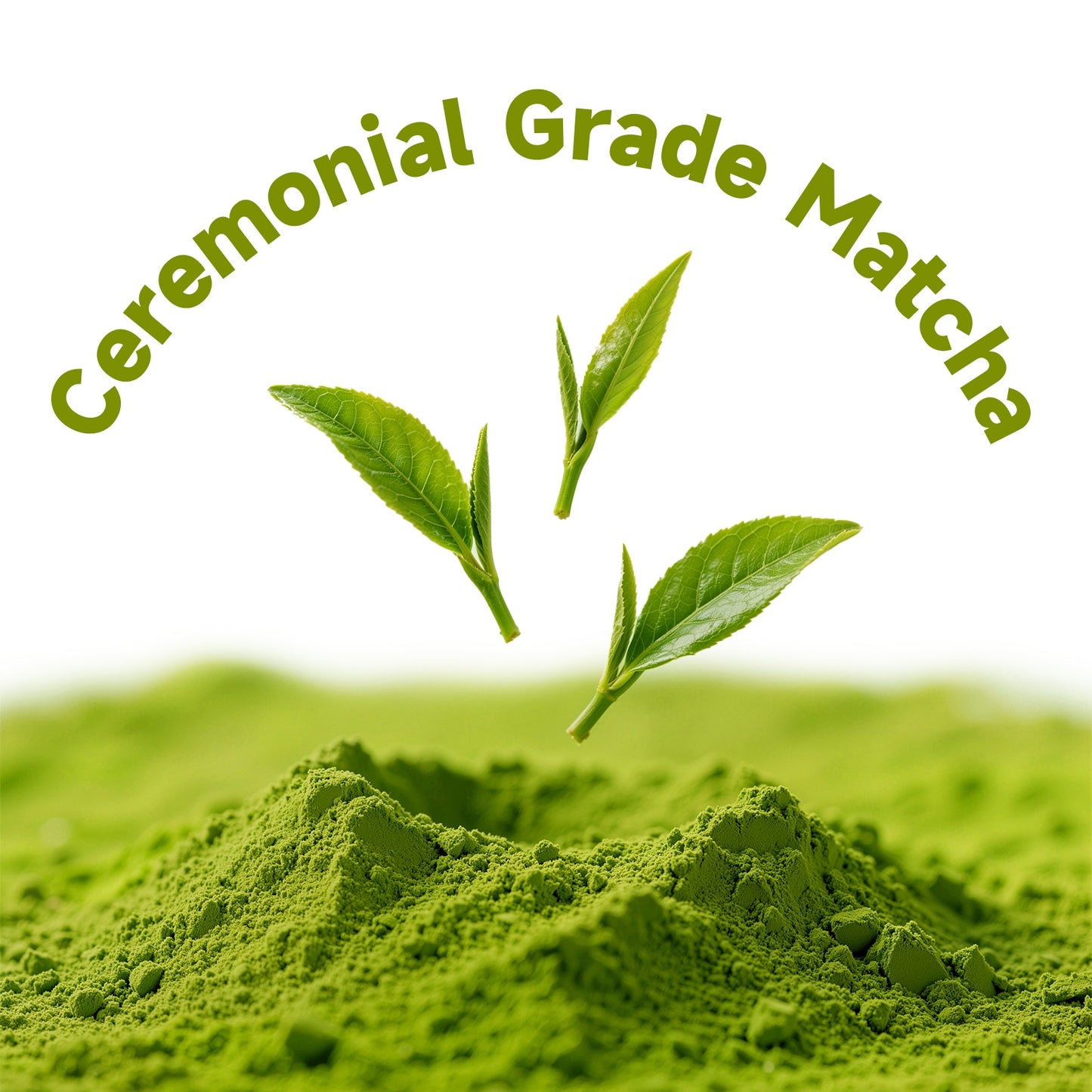 Chaism Mushroom Matcha Latte Powder