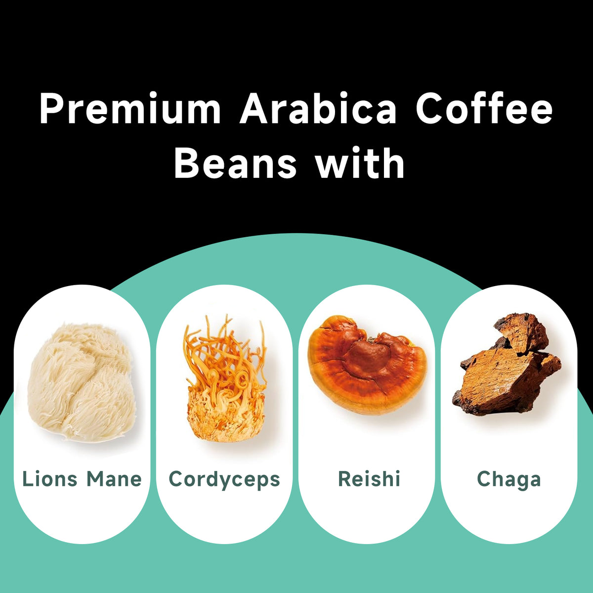 Chaism Mushroom Coffee Pods