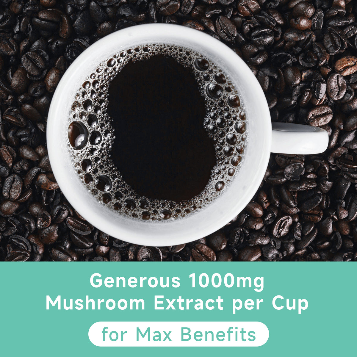 Chaism Mushroom Coffee Pods